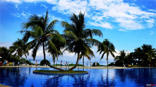 《烧烤店创业热潮在社交媒体上如何抓住商机？》