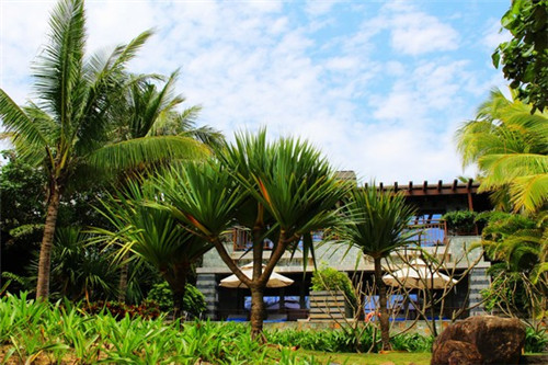 百瑞莲蛋糕加盟在鲁甸县开店复杂吗，在鲁甸县比较知名的蛋糕品牌是哪个