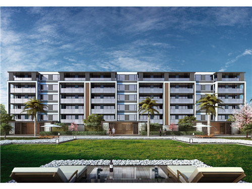 炒素火腿青椒怎么炒（青椒炒素火腿的做法）