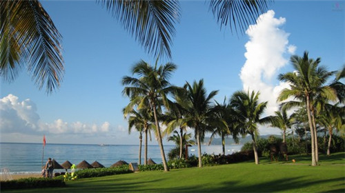 苍南168海岸线自驾游攻略（168苍南海岸线怎么走）