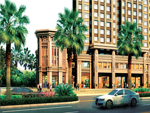 黑米粥营养价值及功效（黑米的粥功效与作用）