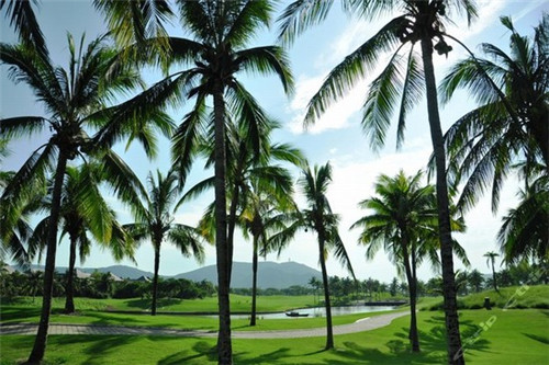 资源县按摩精油加盟和直营的区别有哪些，资源县足疗按摩