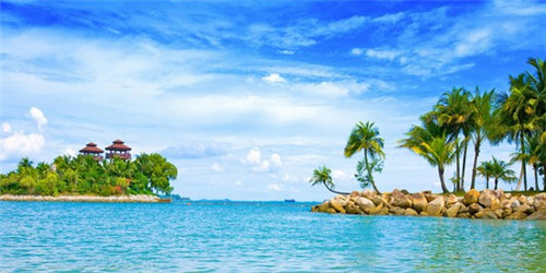 坐着起来眼睛冒星星（坐久站起来眼睛冒星星）